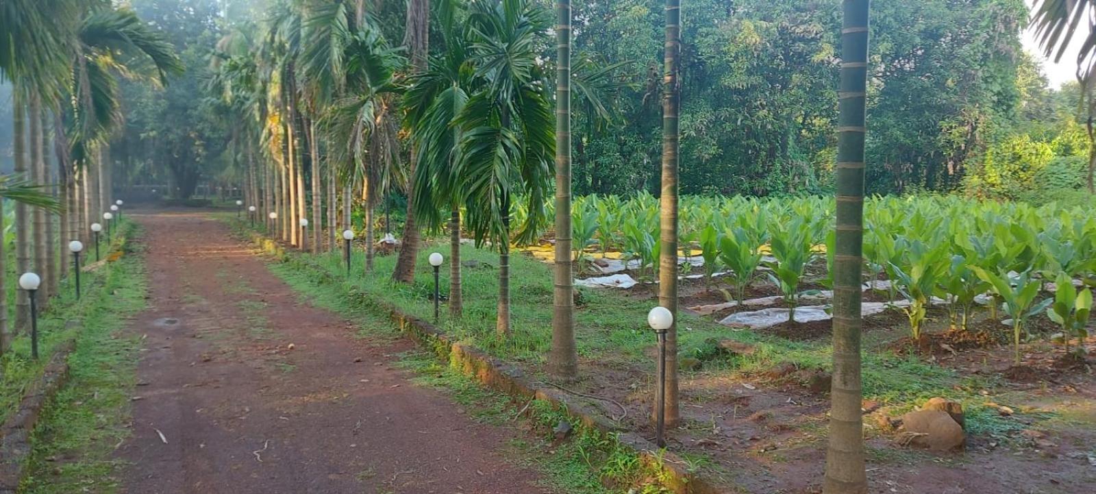 Red Roof Farmhouse Chiplun Exterior photo
