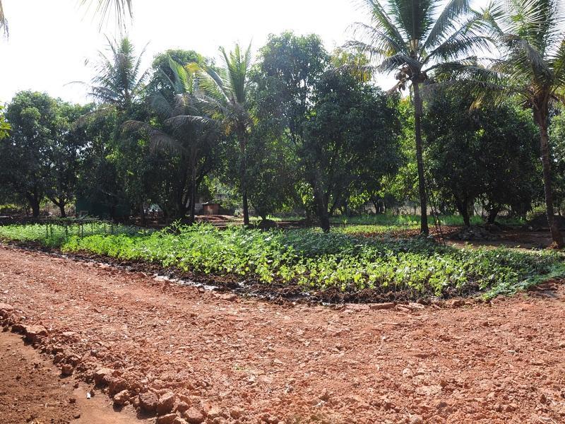 Red Roof Farmhouse Chiplun Exterior photo